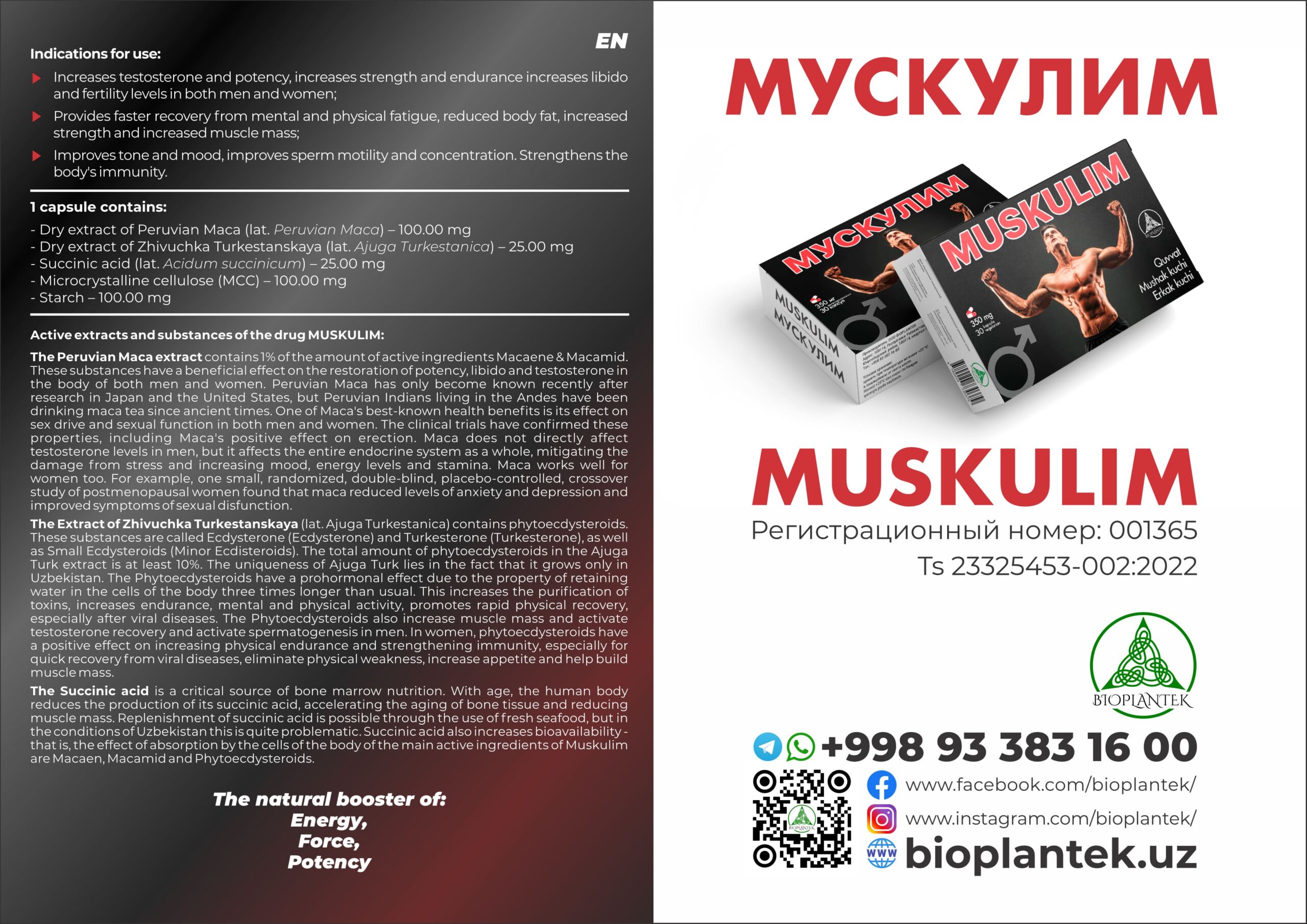 Мускулим — изображение 2